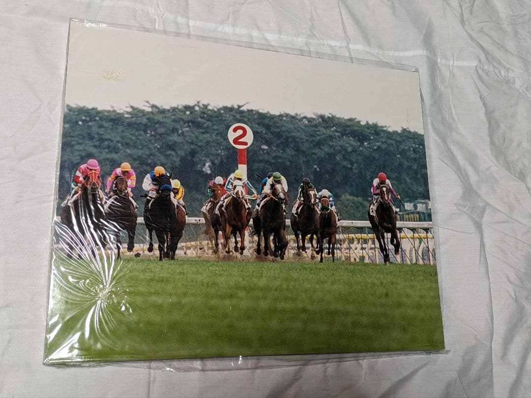 スペシャルウィーク　武豊　日本ダービー　競走馬　パネル 2026年最新】Yahoo!オークション -武豊スペシャルウィークの中古品