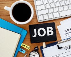 100% Placement Support