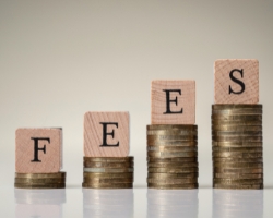 Affordable Fees